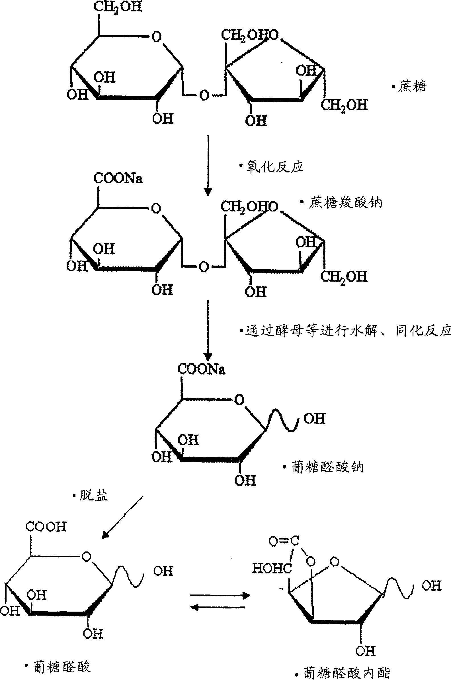 Method for producing glucuronic acid and/or glucuronolactone