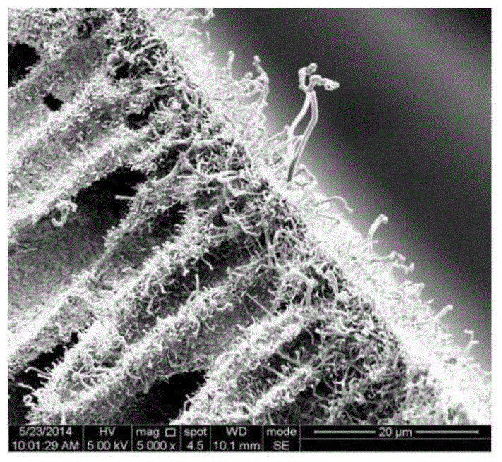 Hollow fiber ceramic membrane production method