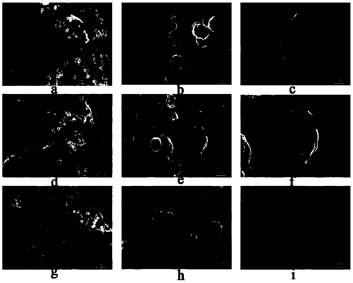 Magnetic ferroferric oxide/graphene oxide nano composite Fenton-like catalytic material, and preparation and application thereof