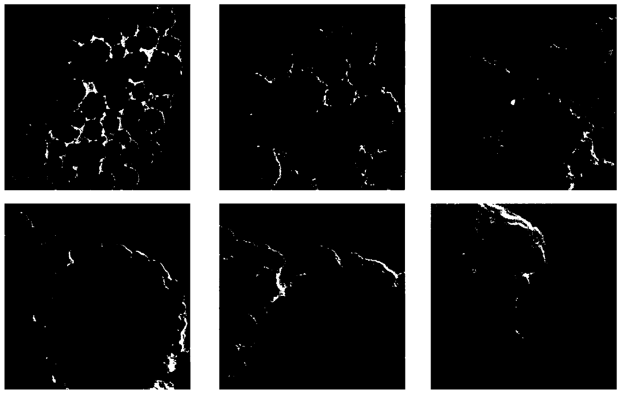 Magnetic ferroferric oxide/graphene oxide nano composite Fenton-like catalytic material, and preparation and application thereof