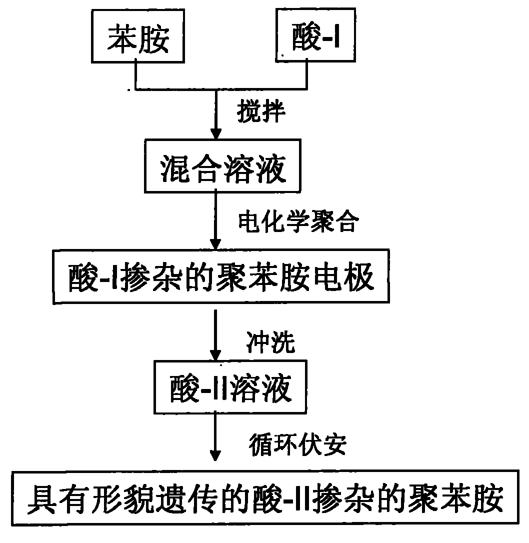 Nano-polyaniline material with morphology inheritance and electrochemical preparation method