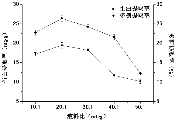 Method for synchronously and efficiently preparing chuanminshen violaceum protein and polysaccharide