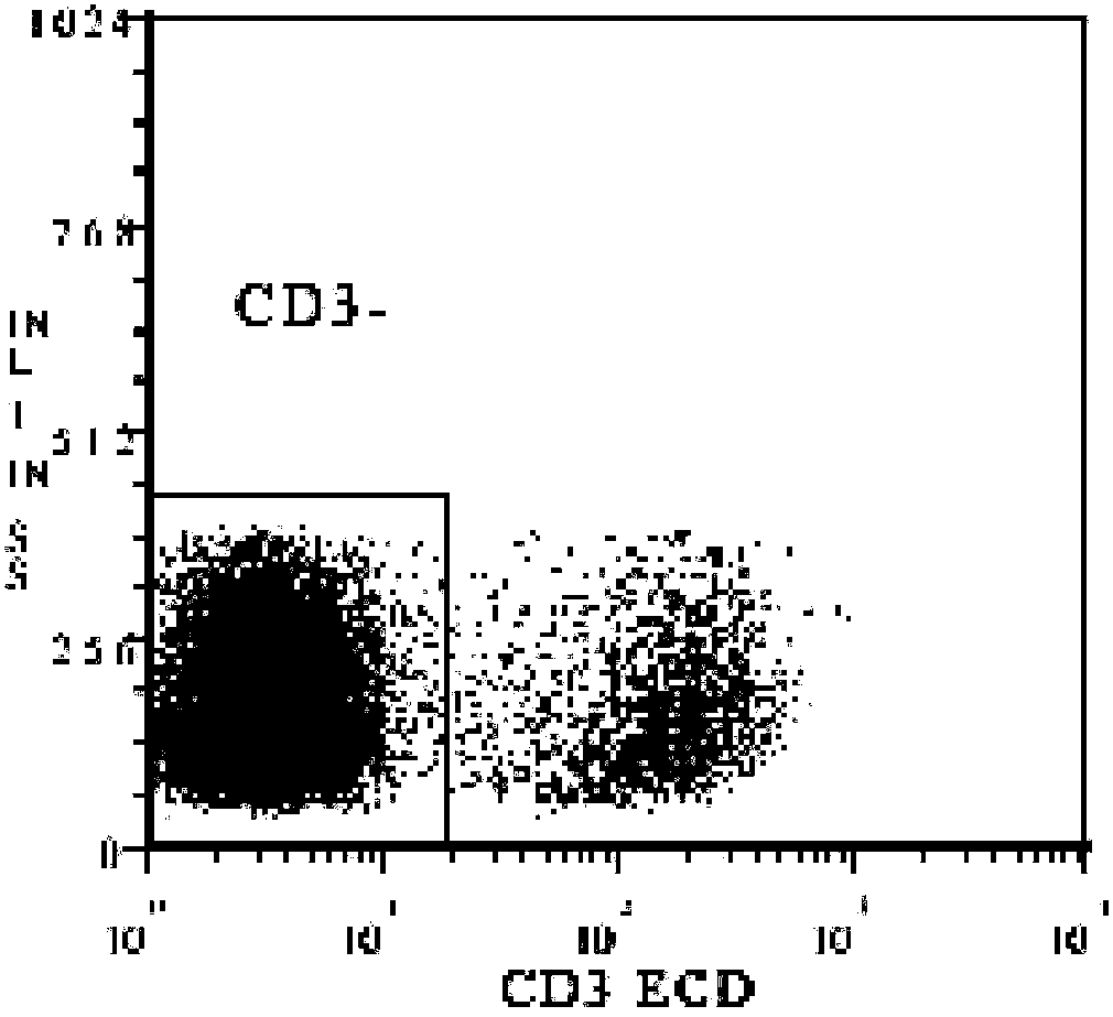 CAR-NK cell, and preparation method and application thereof