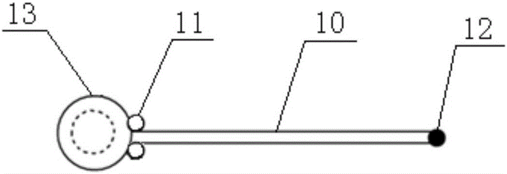 Root box for submerged plant cultivation and rhizosphere microcell DGT test and use method thereof