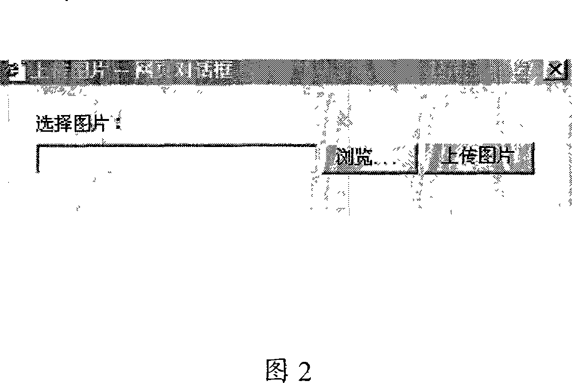 Web page screen-cutting system and implementation method