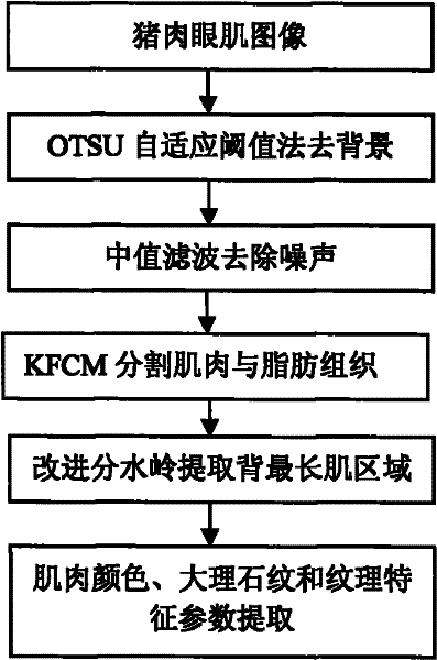 Machine vision-based real-time detection and grading method and grading device for pork appearance quality
