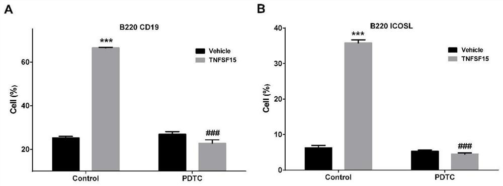 Application of TNFSF15 protein as lymphocyte immunopotentiator and activation method of TNFSF15 protein