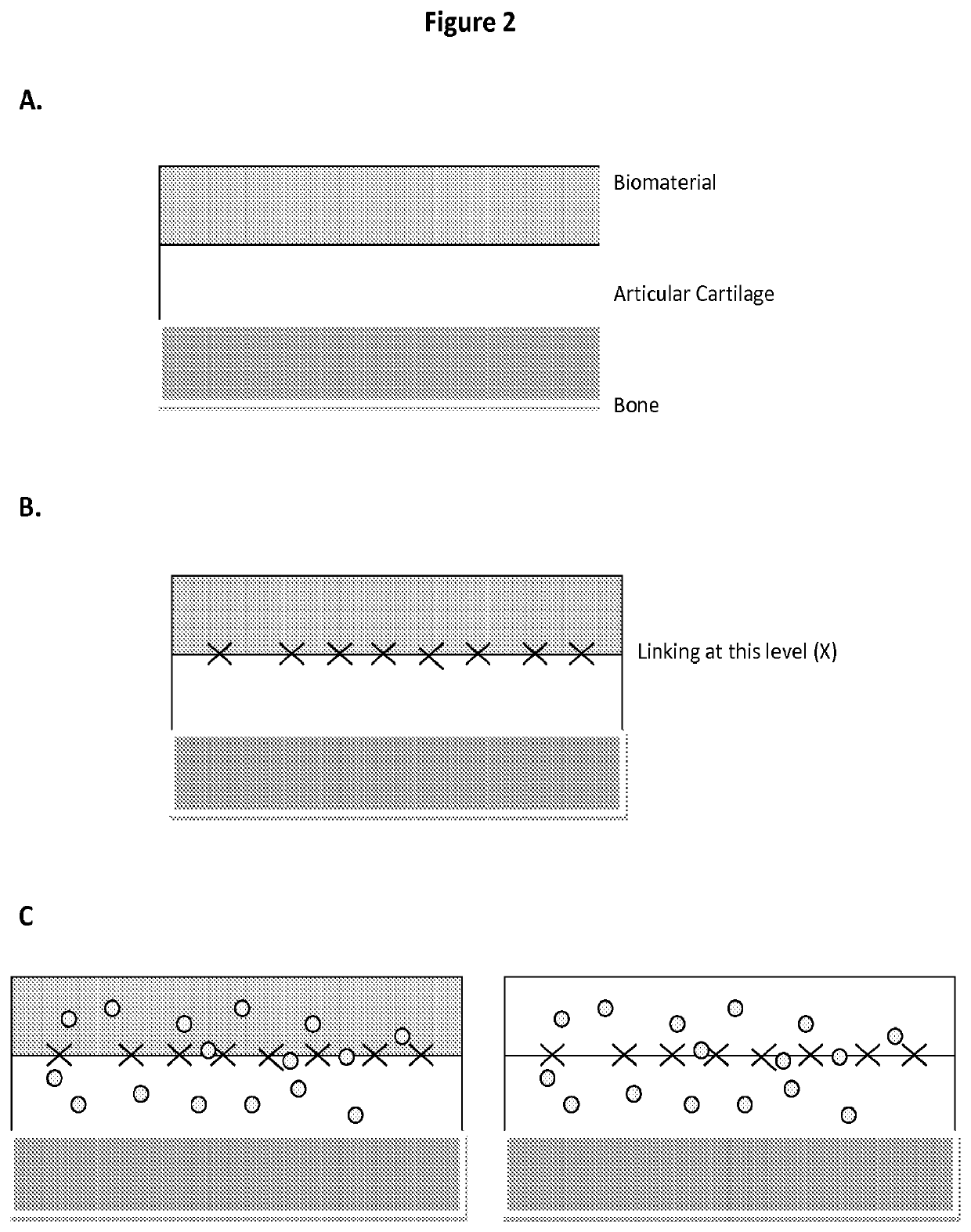 Biomaterial for articular cartilage maintenance and treatment of arthritis