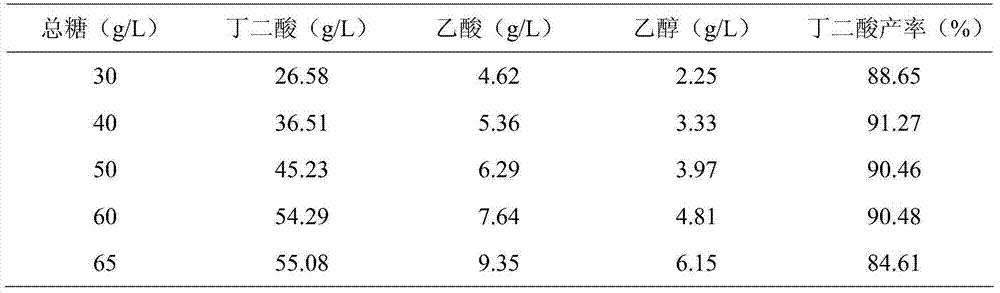 Method for producing succinic acid through fermentation by utilizing lemna minor