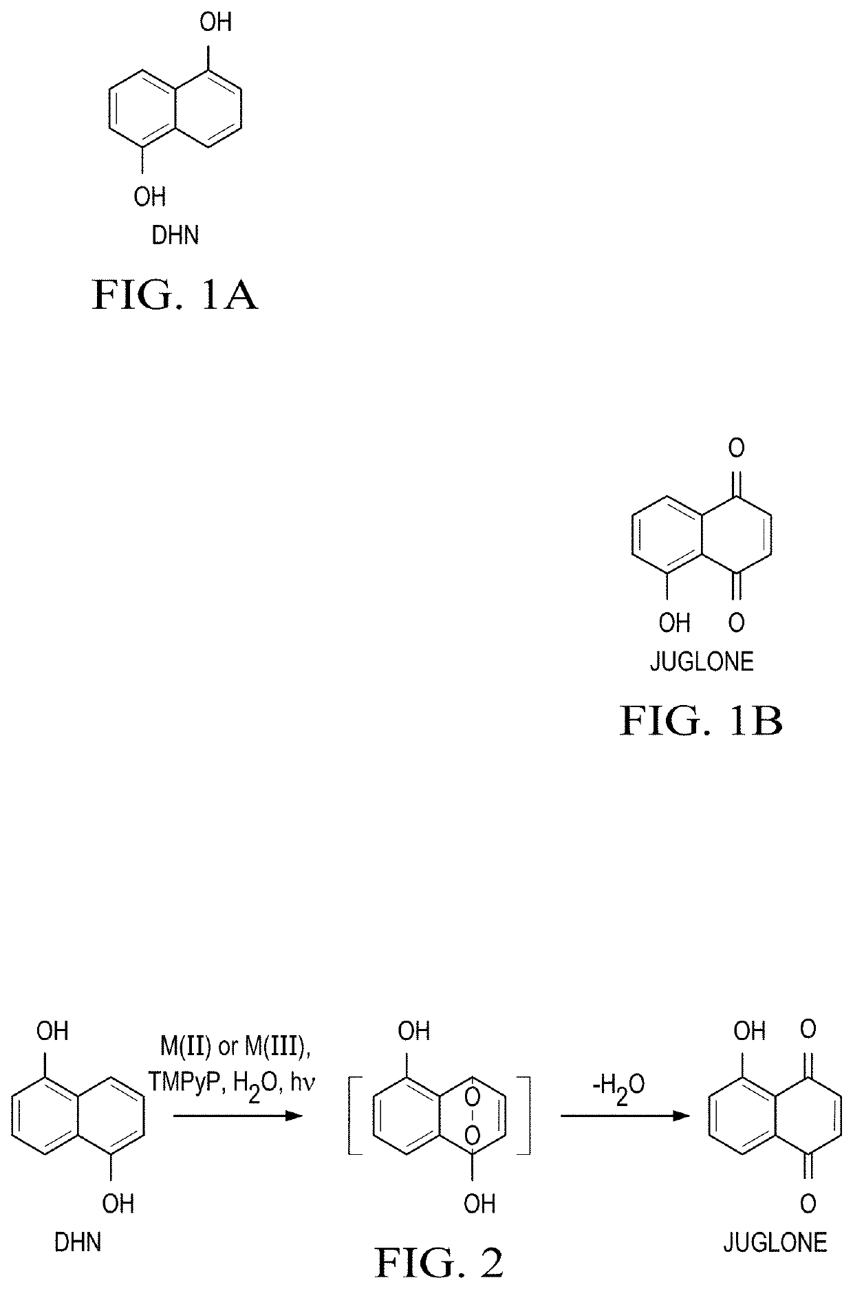 Multifunctional Treatment And Diagnostic Compositions And Methods