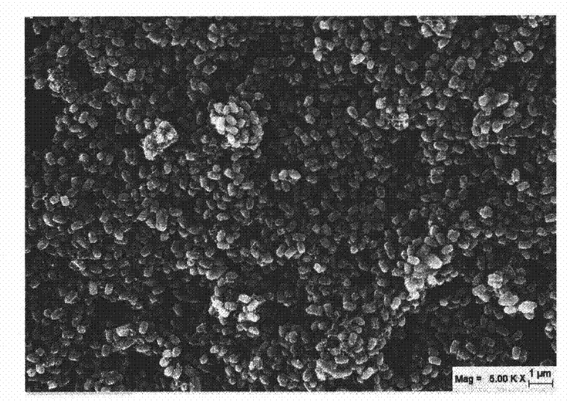 Carbon nano tube-doped ferric oxide three-dimensional nanometer material and preparation method thereof