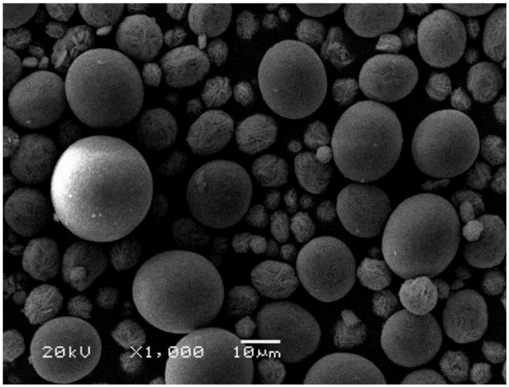 A kind of preparation method of large particle spherical cobalt tetroxide