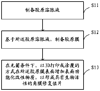 Preparation method of bioactive corneal repair graft and corneal repair graft