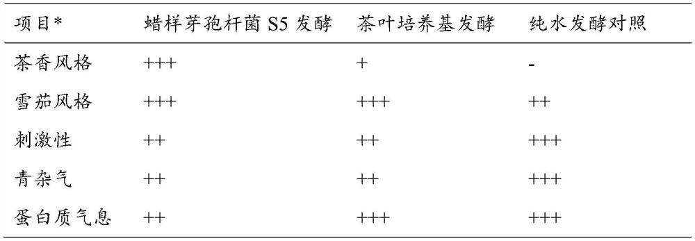 Bacillus cereus S5 and application thereof