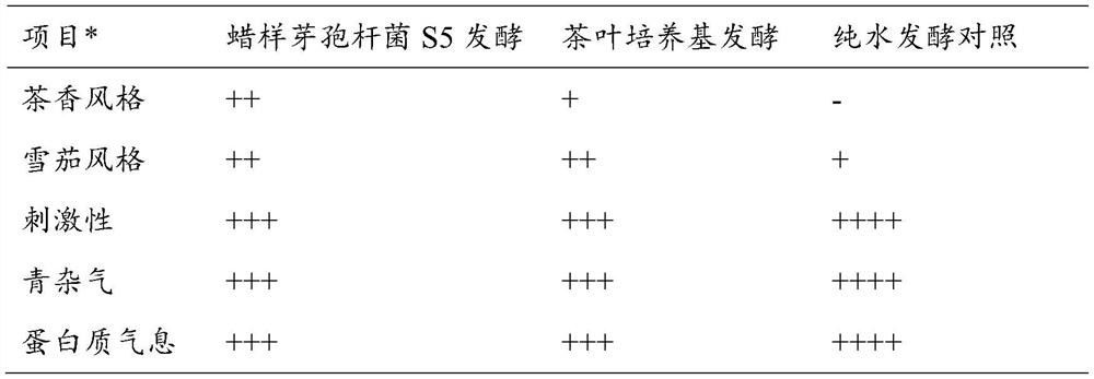 Bacillus cereus S5 and application thereof