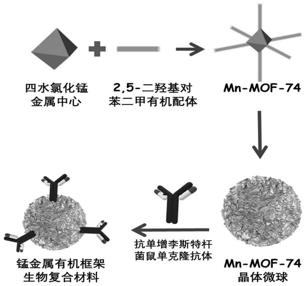 Manganese metal organic framework (MOF) biological composite material and application thereof in detection of food-borne pathogenic bacteria