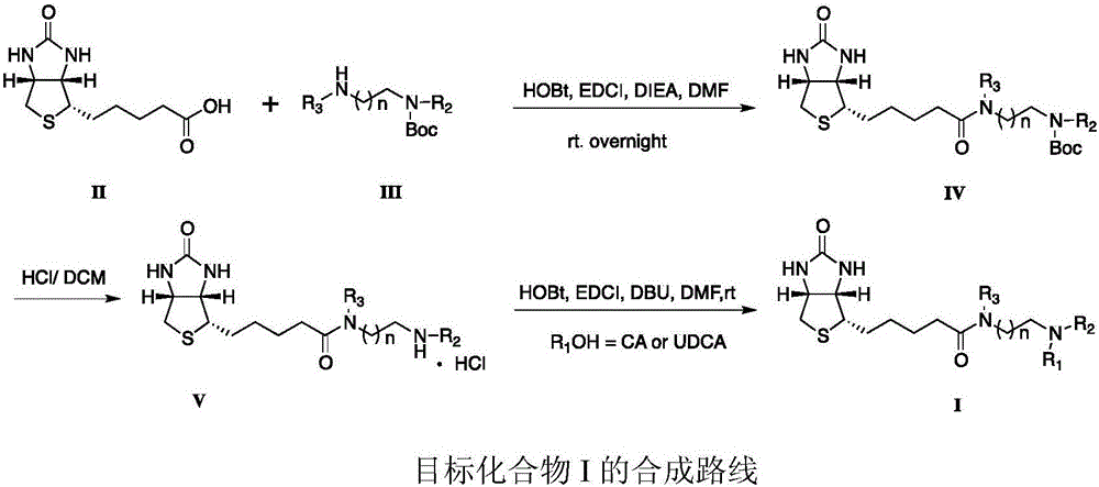 Sodium ion taurocholic acid co-transporter peptide inhibitor