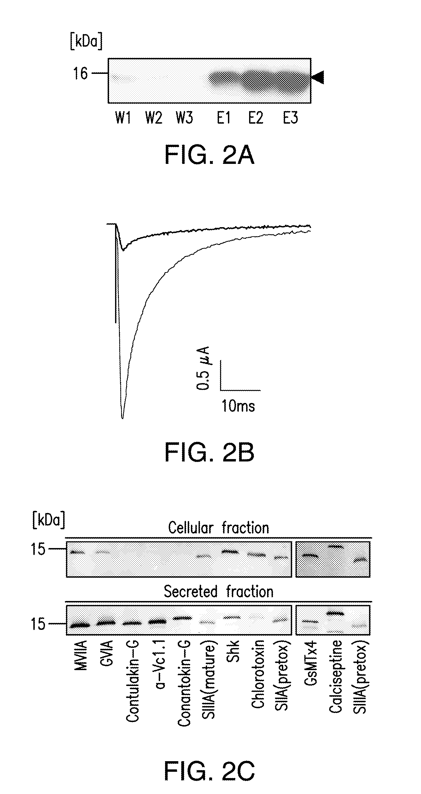 Compositions and methods for peptide expression and purification using a type iii secretion system