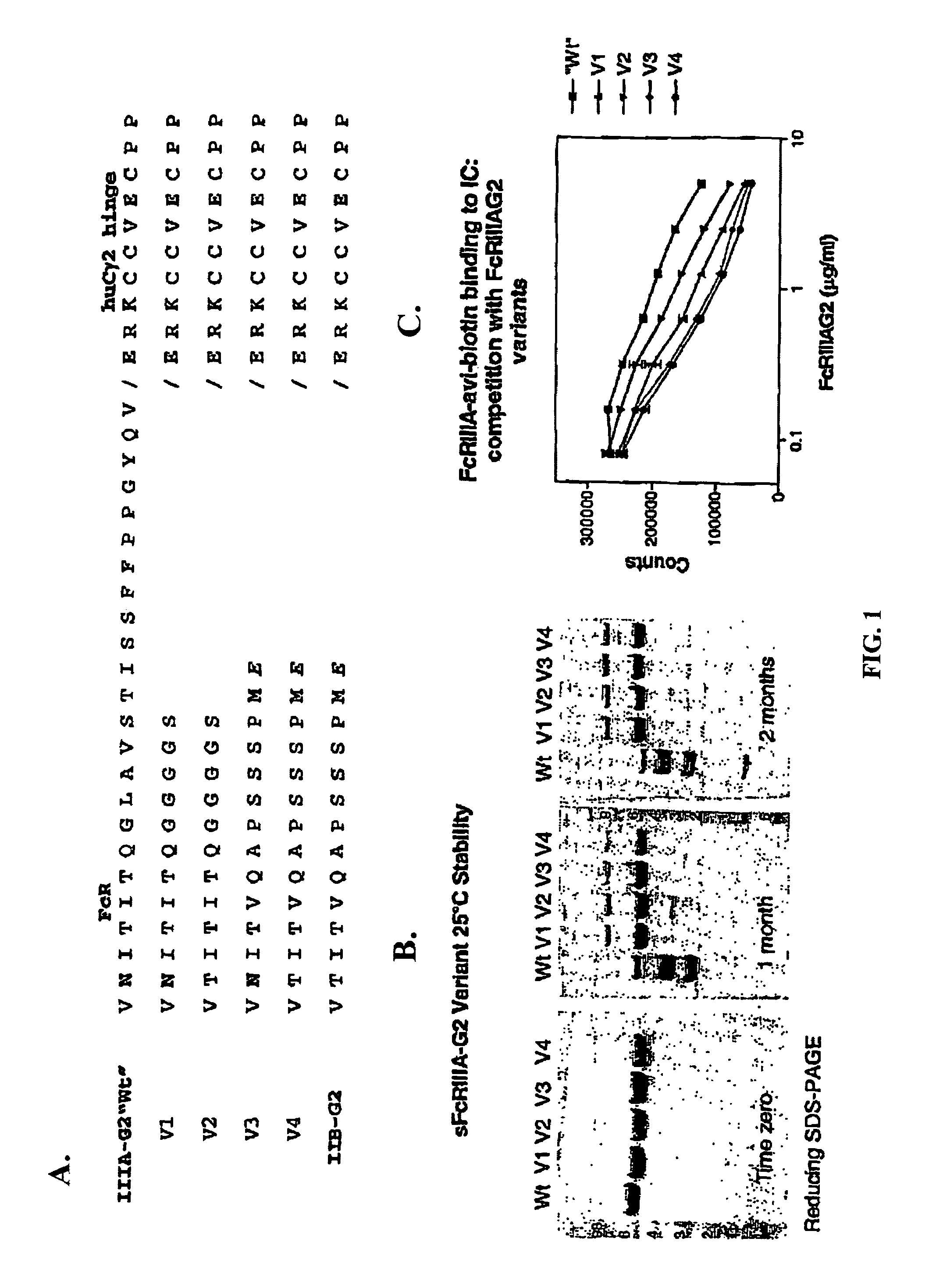 FcγRIIB fusion proteins and compositions thereof