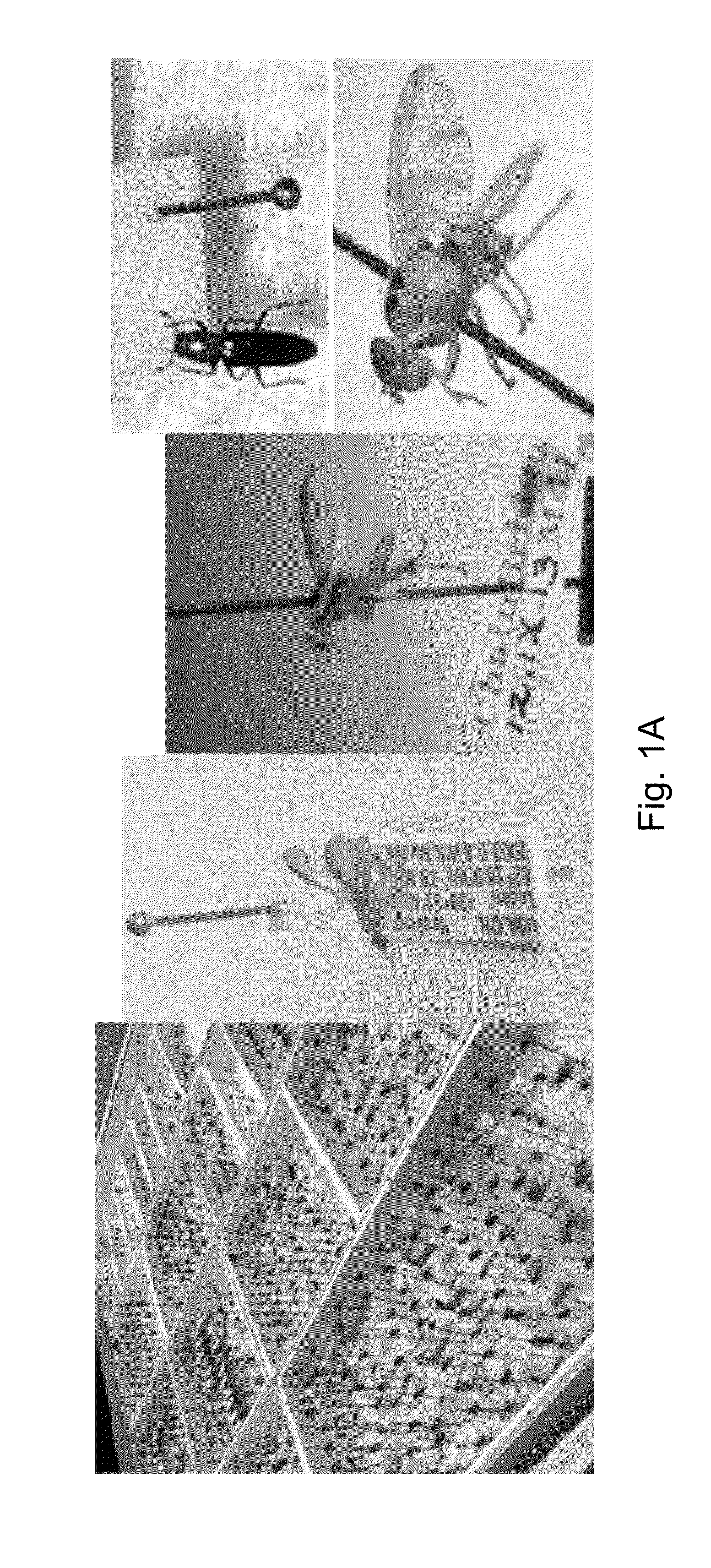 System and method for adaptively conformed imaging of work pieces having disparate configuration