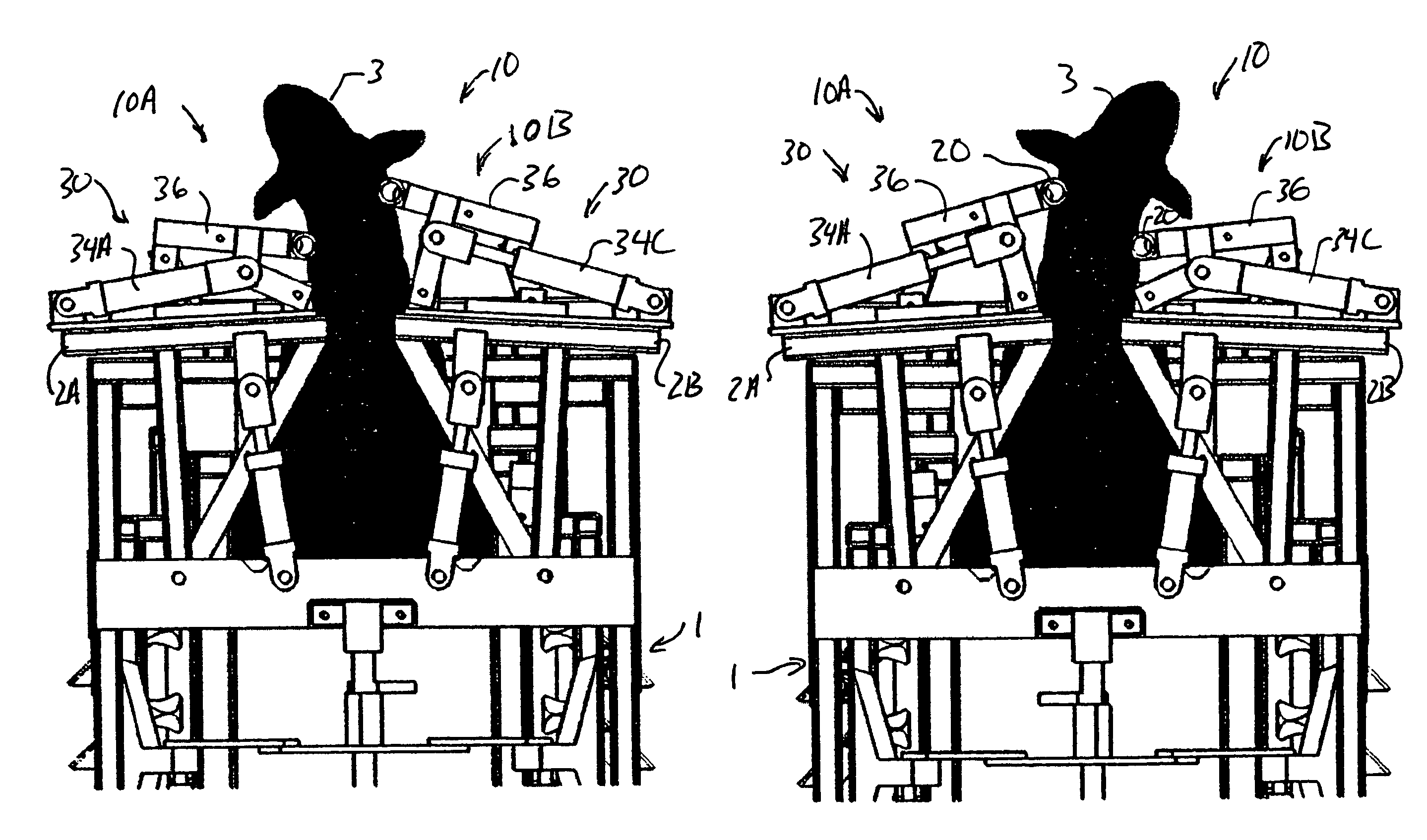 Apparatus for securing livestock