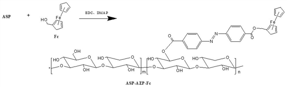 Preparation method of angelica polysaccharide derivative for sensitizing ferroptosis through hypoxia response