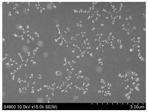 A kind of nanoparticle of insoluble drug and its preparation method and application