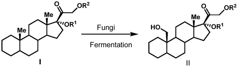 A biotransformation method for the 19-position hydroxylation of a series of steroid compounds