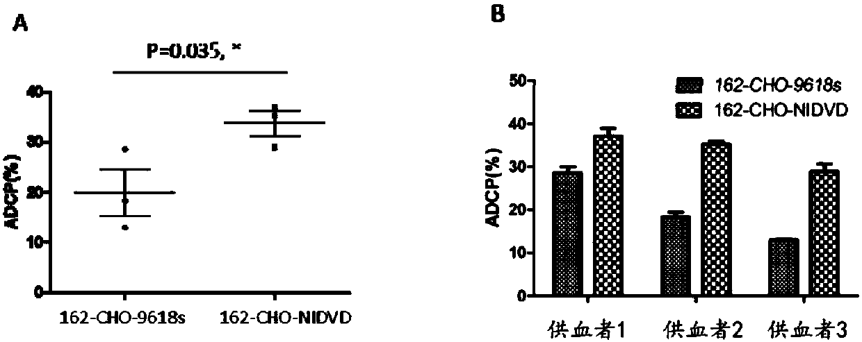 Modified Chinese hamster ovary (CHO) cells and application thereof