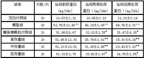 Traditional Chinese medicine composition for treating diabetic nephropathy and preparation method thereof
