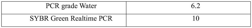 A method for multiplying homozygous mice with ifn-γ gene deficiency and its application