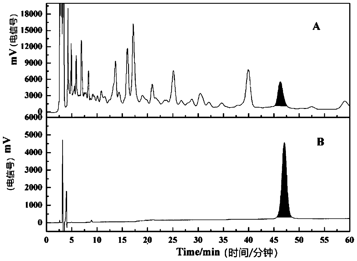 Marker of lepidium latifolium and preparation method and application of marker