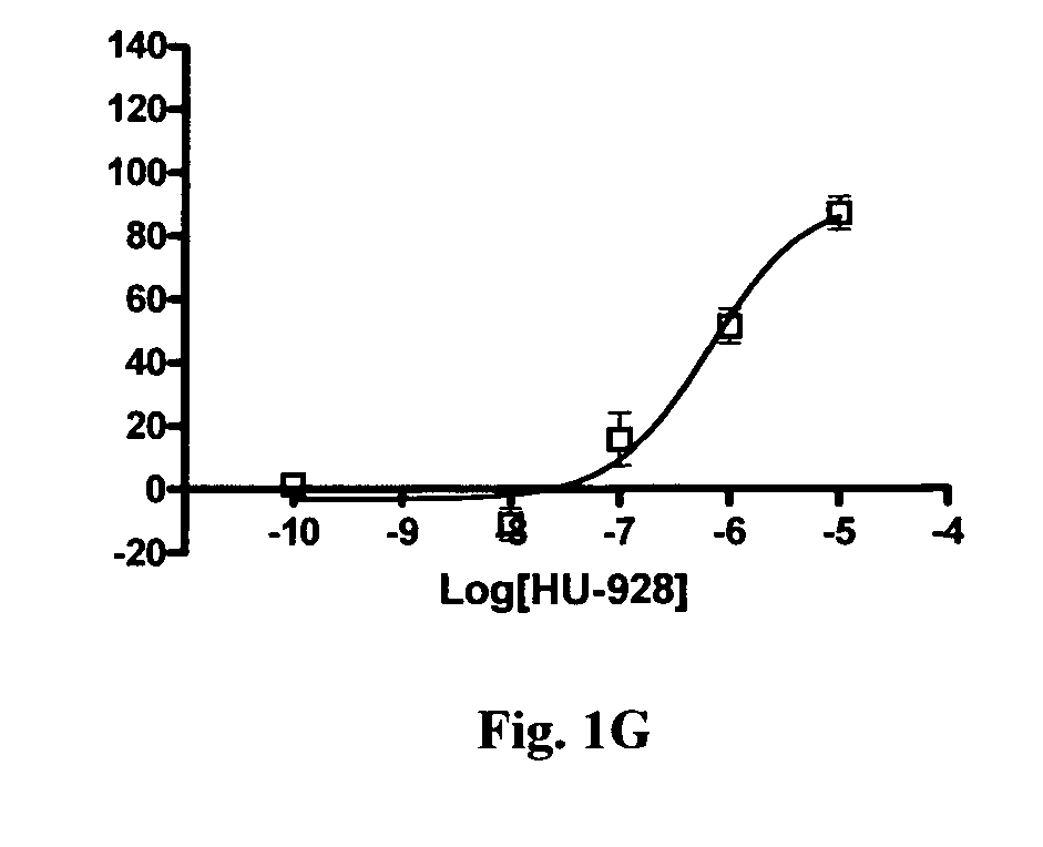 Novel arylated camphenes, processes for their preparation and uses thereof