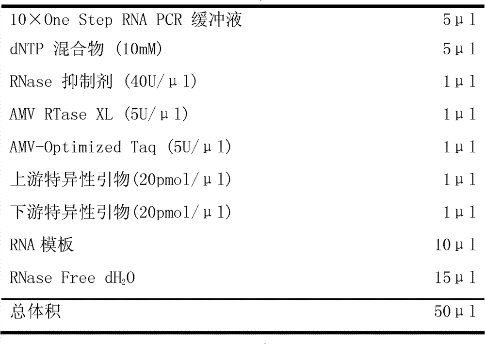 Schistosoma japonicum thioredoxin glutathione reductase gene and DNA (deoxyribonucleic acid) vaccine thereof