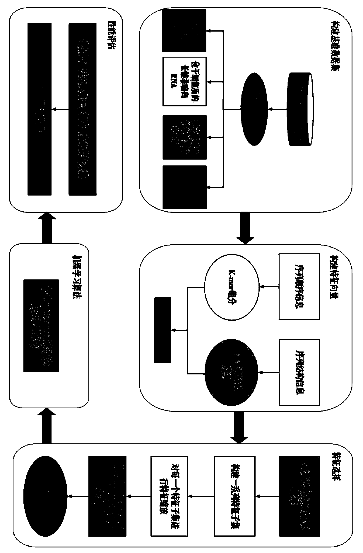 Long-chain non-coding RNA subcellular localization method based on multi-feature information fusion