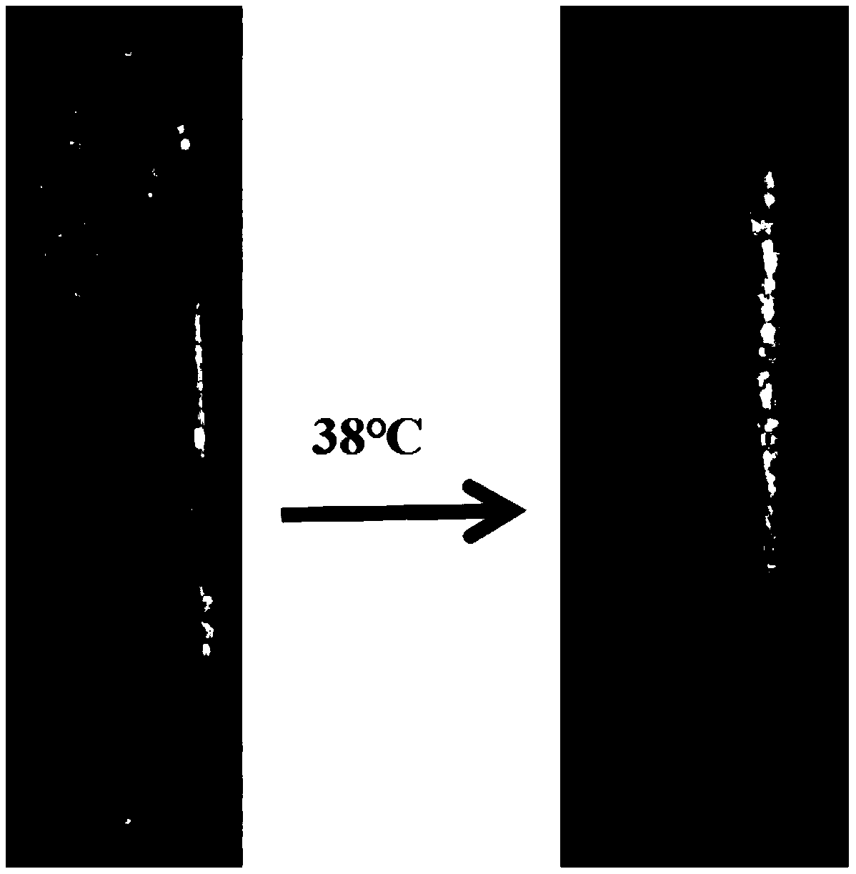 Temperature-sensitive hollow polylactic acid color changing microsphere as well as preparation method and application thereof