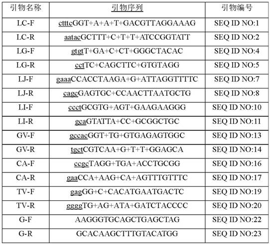 Vaginal microecological detection primer probe combination and kit