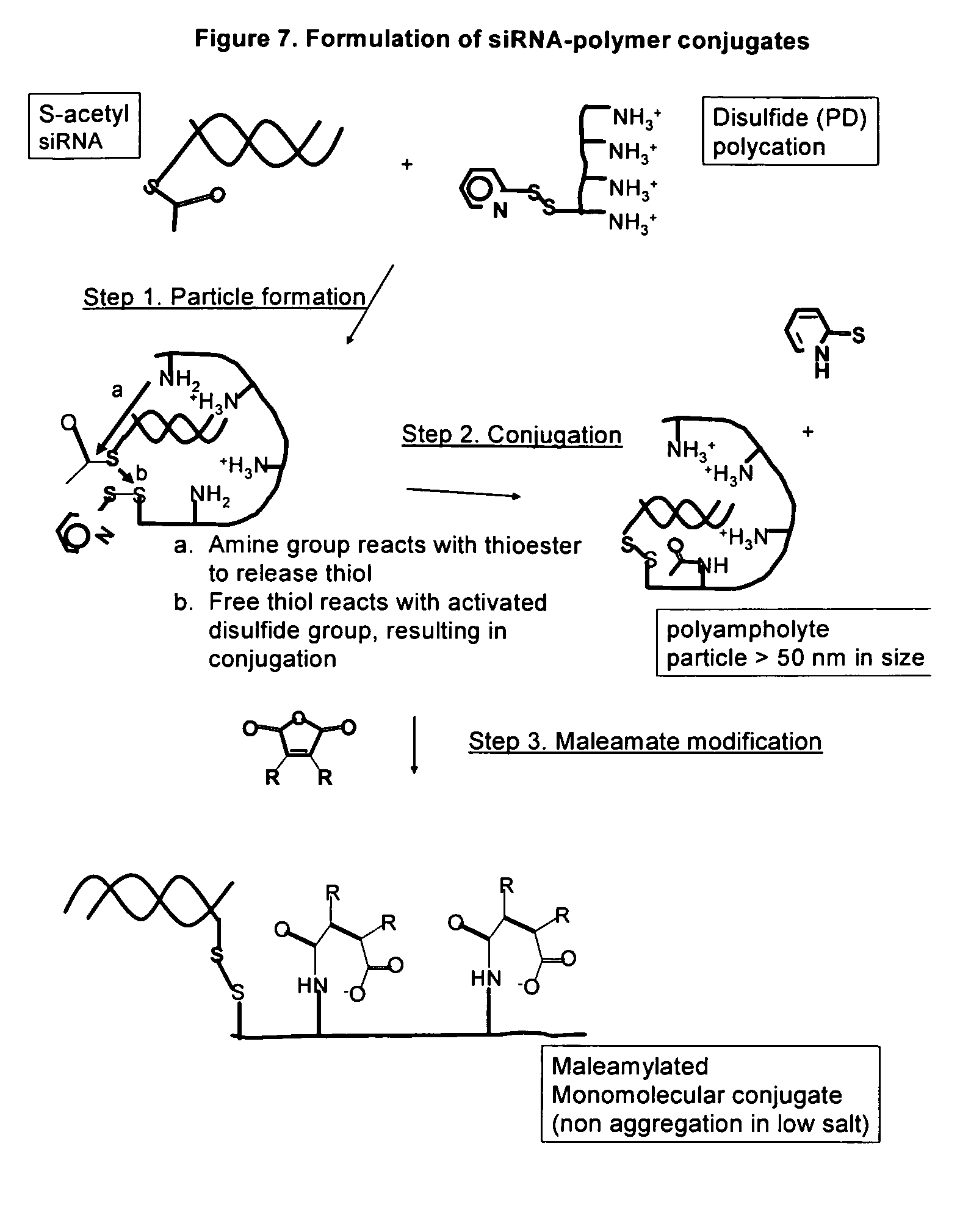 Endosomolytic Poly-Beta-Aminoester Polymers
