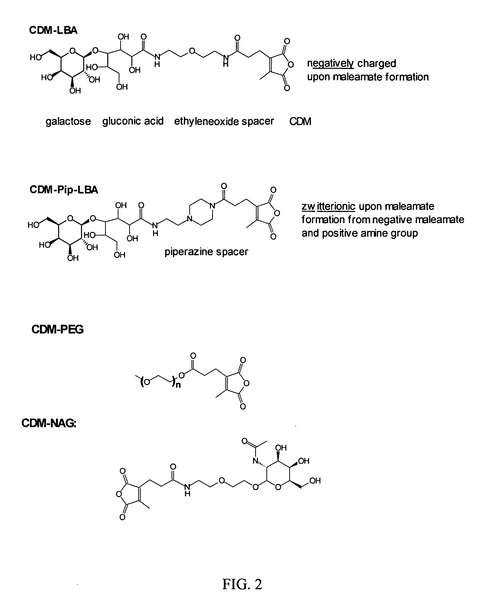 Endosomolytic Poly-Beta-Aminoester Polymers
