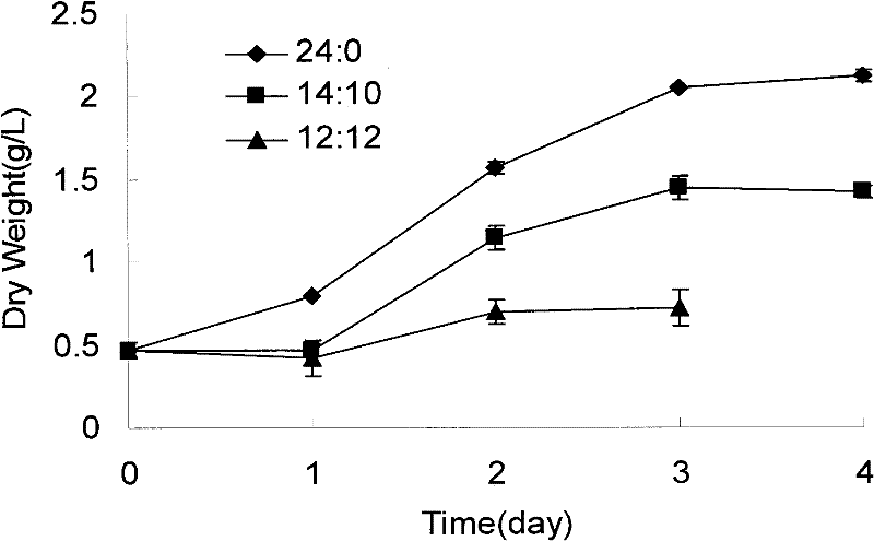 Method for culturing marine green alga accumulated starch with carbon dioxide