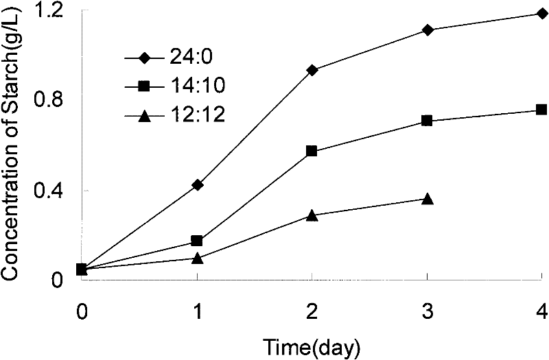 Method for culturing marine green alga accumulated starch with carbon dioxide