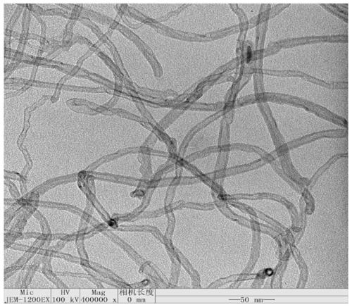 Device and method for directly electrifying and purifying carbon nano tube