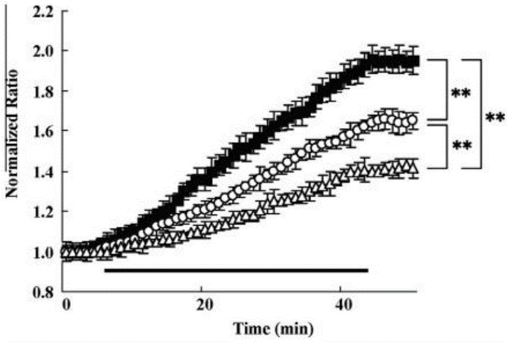 Influence of calcium ion increase rate reducing on cell death reducing with penumbral region neuron in CaV2.1 mutant mouse model