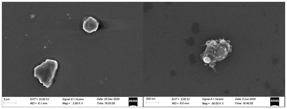 Preparation method and application of efficient heat-conducting UV-LED printing ink