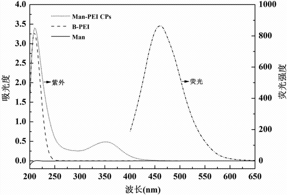 Method for enhancing escherichia coli resisting performance of polyethyleneimine