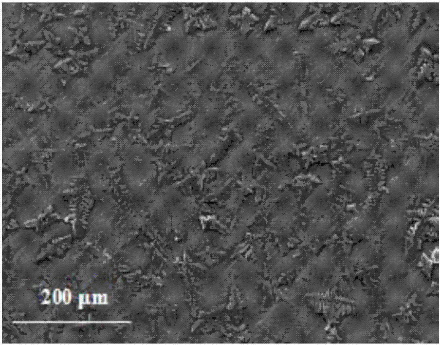 Method for enhancing escherichia coli resisting performance of polyethyleneimine