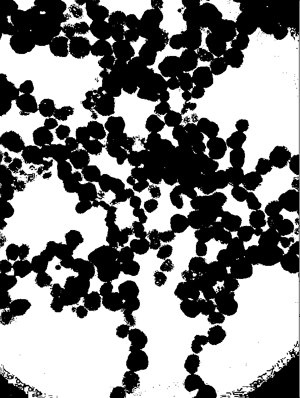 Preparation method of ferroferric oxide nano sheet