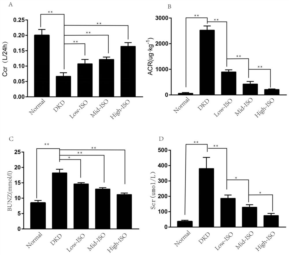 Traditional Chinese medicine monomer isoorientin for treating diabetic nephropathy