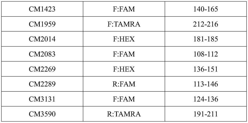 Microsatellite primer combination for identifying genetic relationship between eggs of Lophophorus lhuysii in same bird house and application