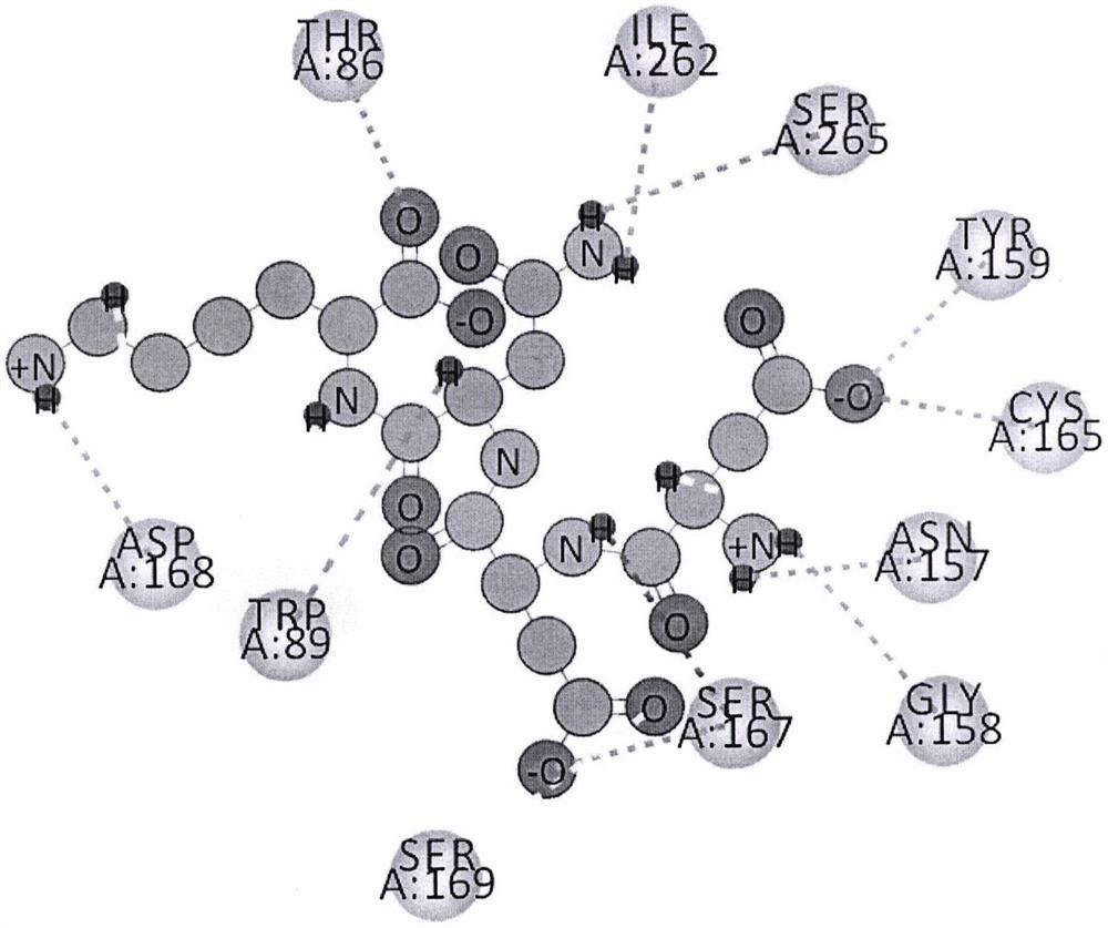 Active peptide with bitterness blocking effect